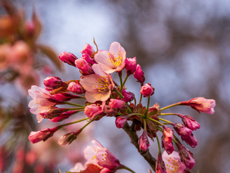 Similar image 22283129