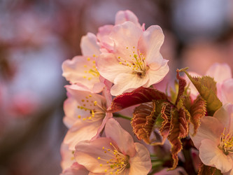 Similar image 22283130