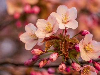 Similar image 22283131