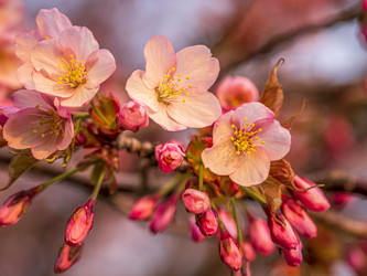 Similar image 22283132