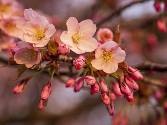 Similar image 22283133