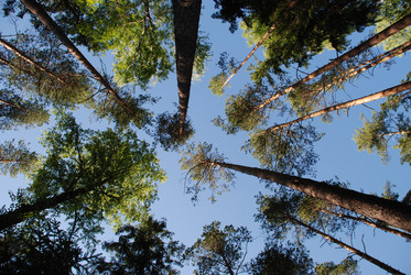 Similar image 22282320