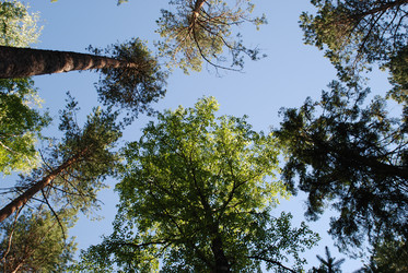 Similar image 22282323