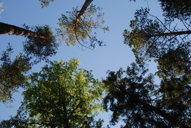 Similar image 22282324