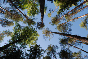 Similar image 22282325