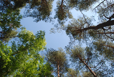 Similar image 22282328