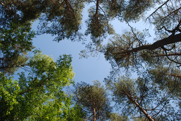 Similar image 22282329