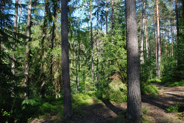 Similar image 22282330