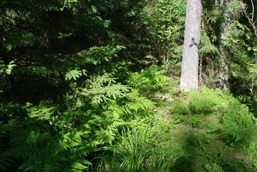 Similar image 22282331