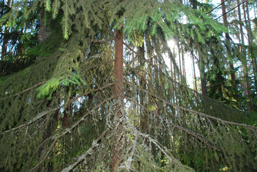 Similar image 22282333