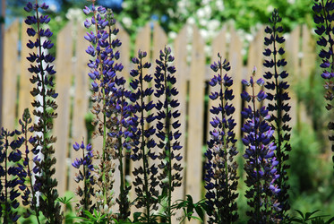 Similar image 22282335