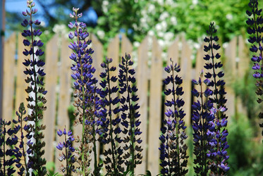 Similar image 22282336