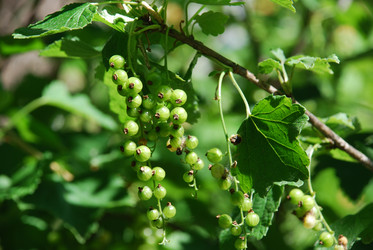 Similar image 22282337