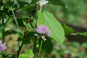 Similar image 22282339