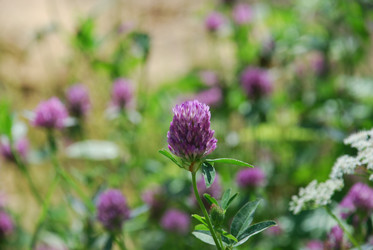 Similar image 22282340