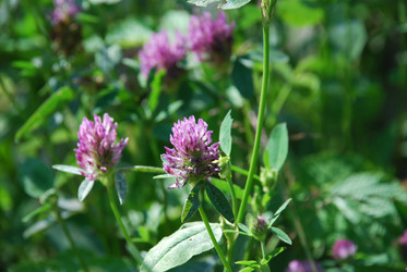 Similar image 22282341