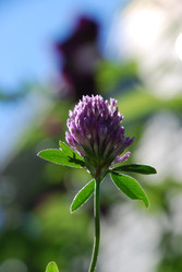 Similar image 22282342