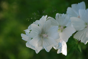 Similar image 22282343