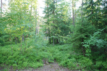 Similar image 22282344