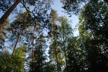 Similar image 22282345