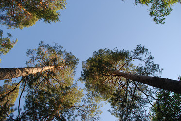 Similar image 22282346