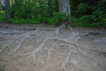 Similar image 22282350