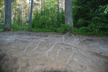 Similar image 22282351