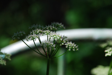 Similar image 22282352