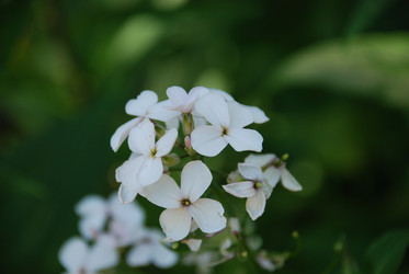 Similar image 22282353