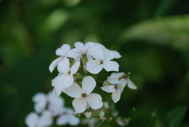 Similar image 22282354