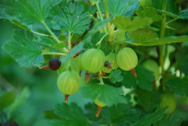 Similar image 22282355