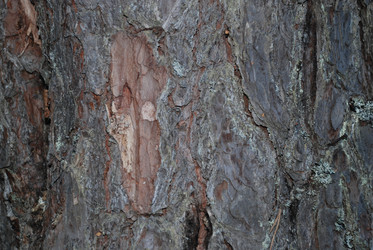 Similar image 22282356