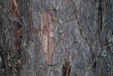 Similar image 22282357