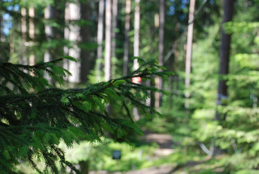 Similar image 22282358