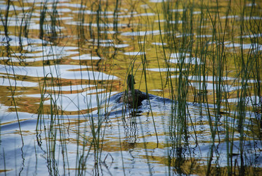 Similar image 22282359