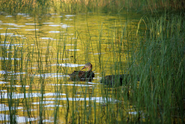 Similar image 22282360