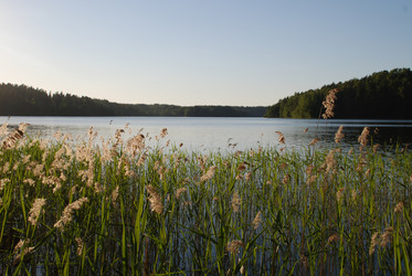 Similar image 22282371