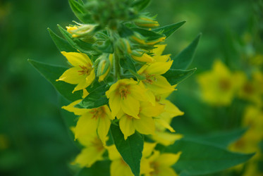 Similar image 22282373