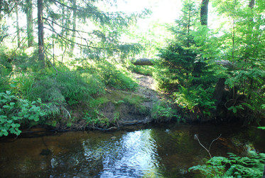 Similar image 22282375