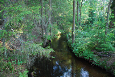 Similar image 22282376