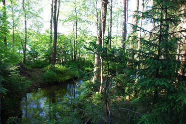 Similar image 22282377