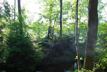 Similar image 22282378