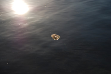 Similar image 22282386