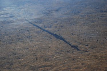 Similar image 22282390