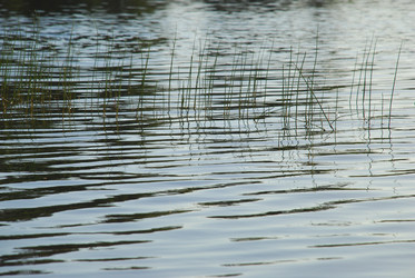 Similar image 22282393