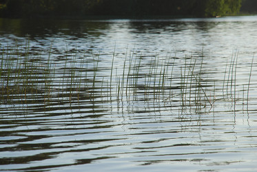 Similar image 22282394