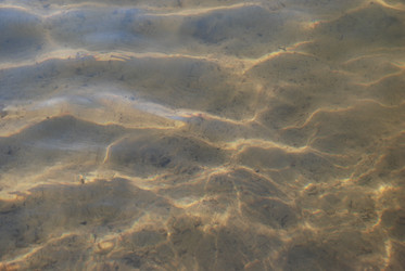 Similar image 22282398