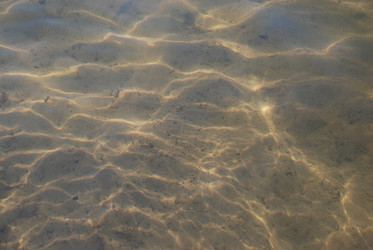 Similar image 22282399