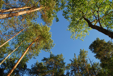 Similar image 22282403