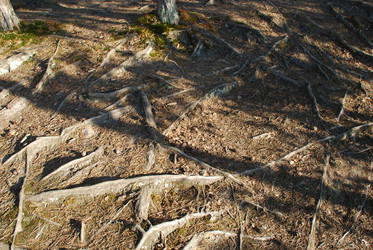 Similar image 22282404